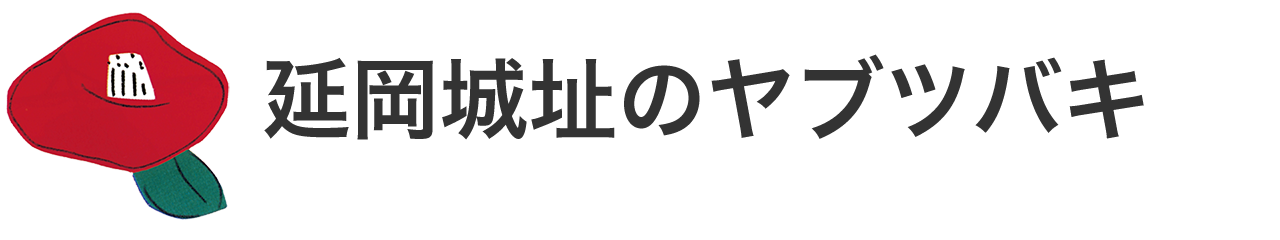 延岡城址のヤブツバキ